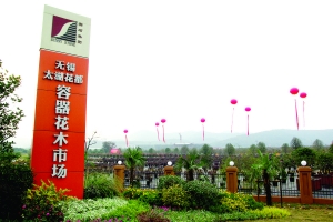 太湖 花卉 市場