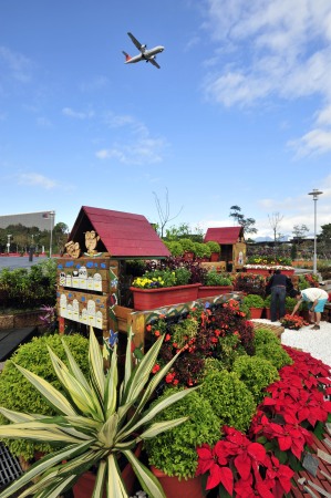 臺灣 花卉展 花博公園