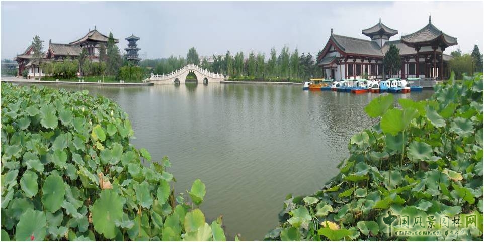 豐慶公園金湖