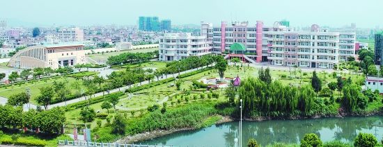 綠化 綠網(wǎng) 學(xué)校綠化
