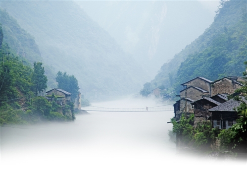 巫溪 生態 綠化