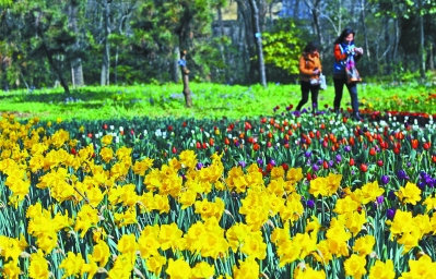 中國風景園林網 中山植物園