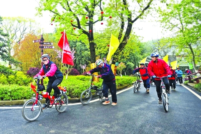 湖北 郁金香 綠道