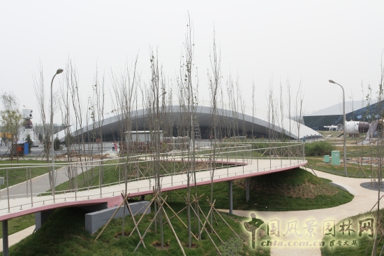 小徑花園