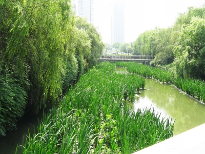 科技