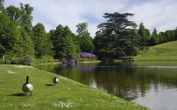 英國(guó)花園克萊爾蒙特園林(英國(guó)薩里)