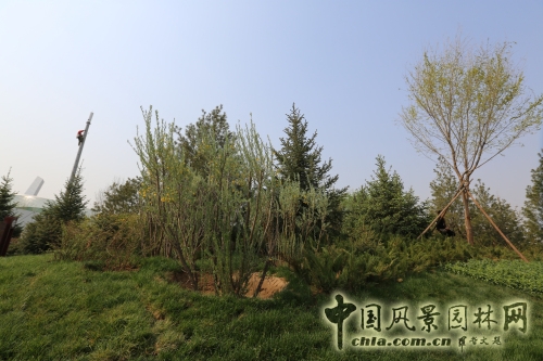 鄂爾多斯園
