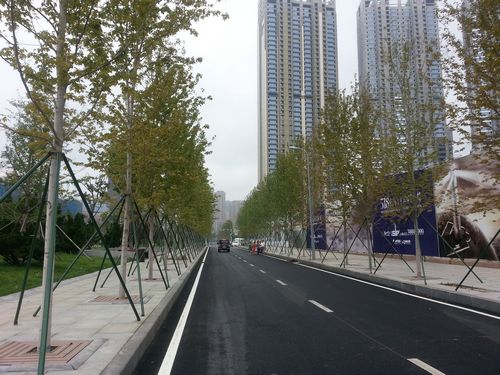 2013年夏季達(dá)沃斯會議 達(dá)沃斯 大連 盛世紅楓