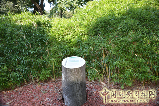 法國 南特 植物園