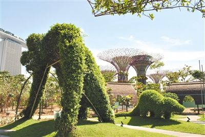 新加坡觀光新景點濱海灣花園由英國景觀事務(wù)所Grant Associates設(shè)計