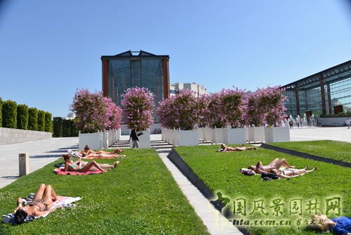 雪鐵龍公園 傳統(tǒng)園林 法國景觀