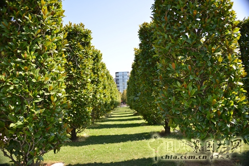 雪鐵龍公園 傳統(tǒng)園林 法國景觀