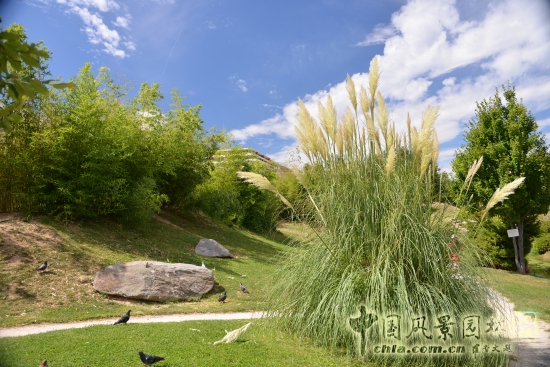 馬賽2600年公園