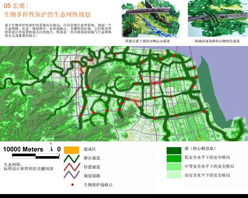 反規劃 生態基礎 城市空間 城市規劃 臺州