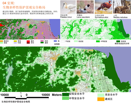 反規劃 生態基礎 城市空間 城市規劃 臺州