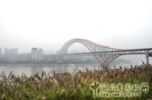 住宅景觀獎(jiǎng) 園林工程 重慶星耀天地會(huì)所示范區(qū)