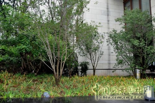 住宅景觀獎(jiǎng) 園林工程 重慶星耀天地會(huì)所示范區(qū)