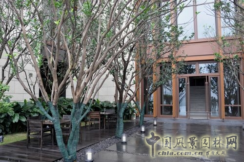 住宅景觀獎(jiǎng) 園林工程 重慶星耀天地會(huì)所示范區(qū)