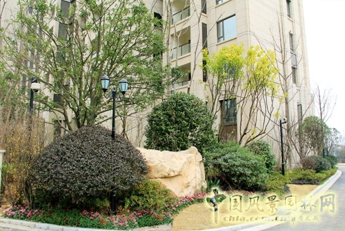 住宅景觀獎  躍馬園林  金茂梅溪湖