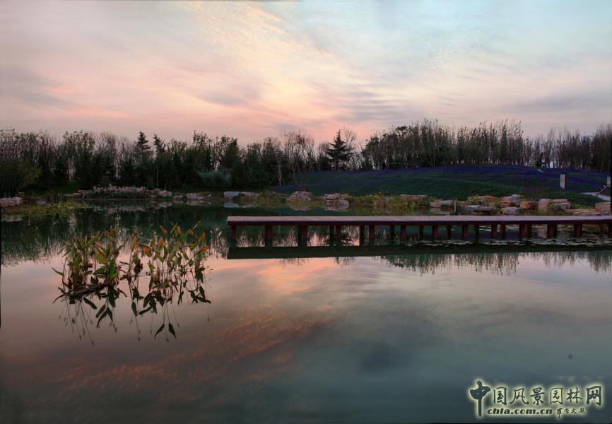 煙臺(tái)龍湖葡醍海岸