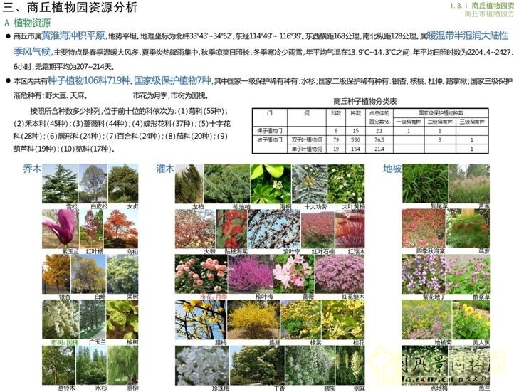 商丘市植物園 朱建寧 中法園林 園林設(shè)計(jì)