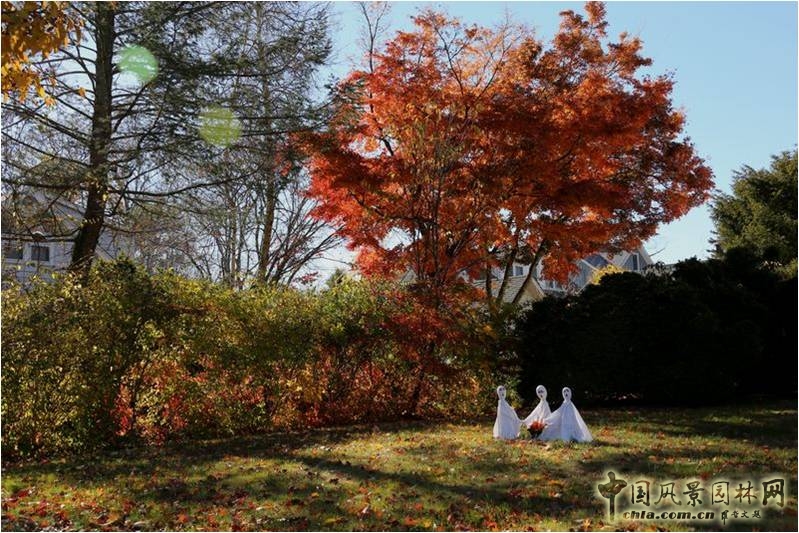 美國鄉(xiāng)村公園