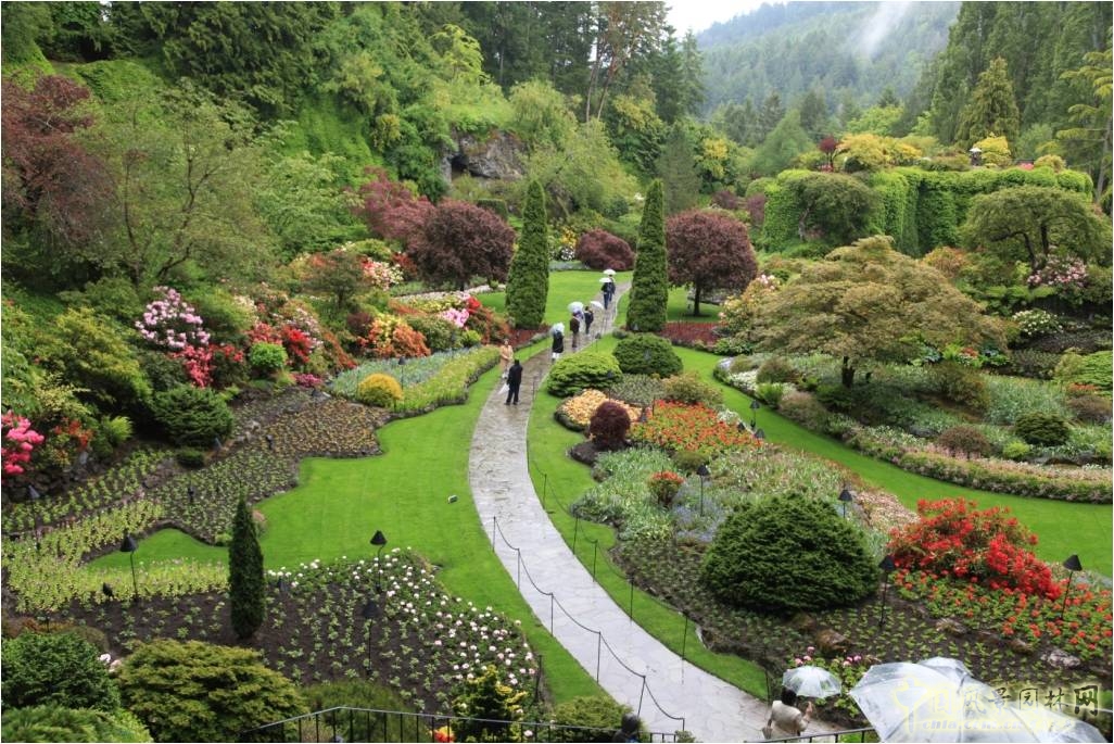 低洼花園