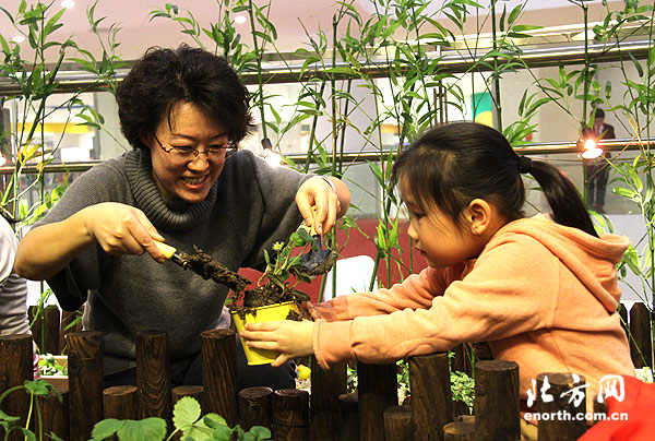 孩子體驗中植可食用藥用植物的樂趣