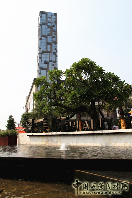 山水比德 發(fā)現美院