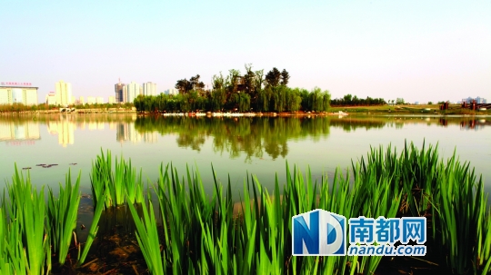 大明宮遺址 遺產保護 改造工程 城市規劃