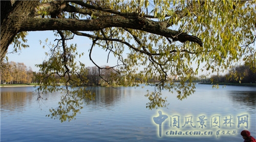庫(kù)斯科沃