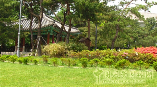 青瓦臺(tái)