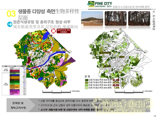 趙泰東：韓國江陵市城市林建設(shè)和管理計劃