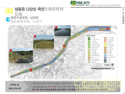 趙泰東：韓國江陵市城市林建設(shè)和管理計劃