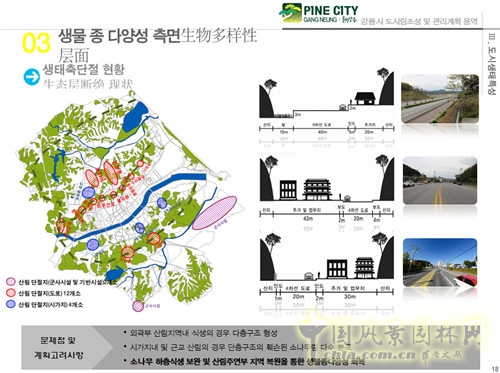 趙泰東：韓國江陵市城市林建設(shè)和管理計劃