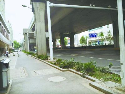 沿著發(fā)展大道自西向東約200米路段，其綠化帶中栽種了一些低矮雜亂的灌木叢，未見綠樹