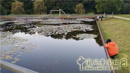 魔水公園