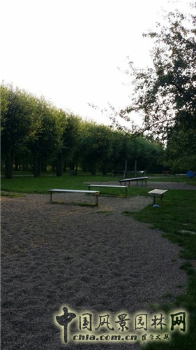 魔水公園
