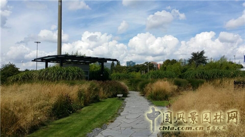 巨人花園