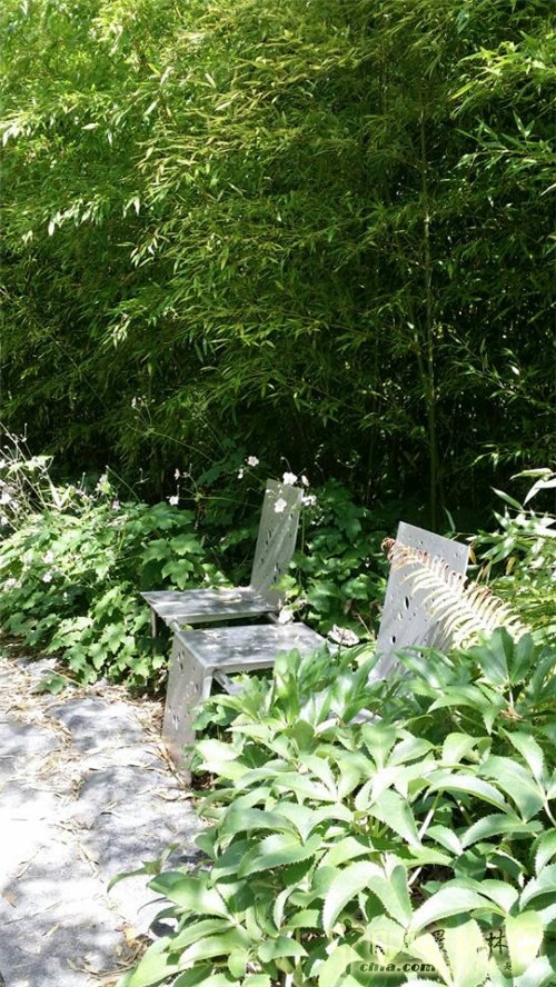 巨人花園