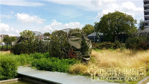巨人花園