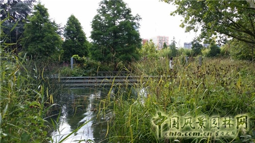 巨人花園