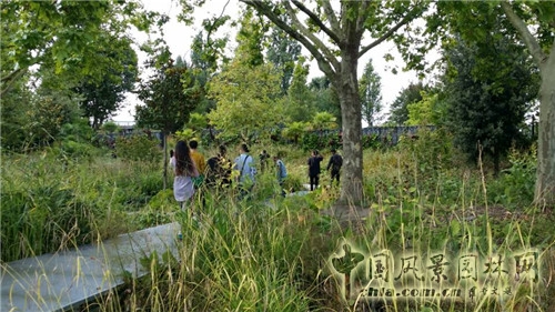 巨人花園