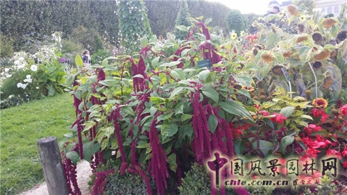 巴黎植物園