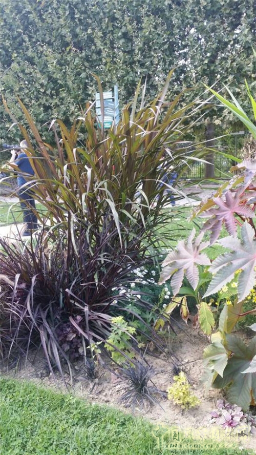 巴黎植物園