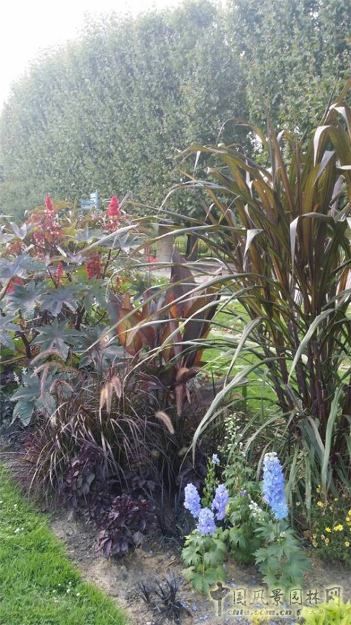 巴黎植物園