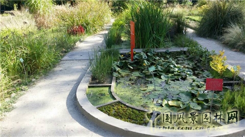 巴黎植物園
