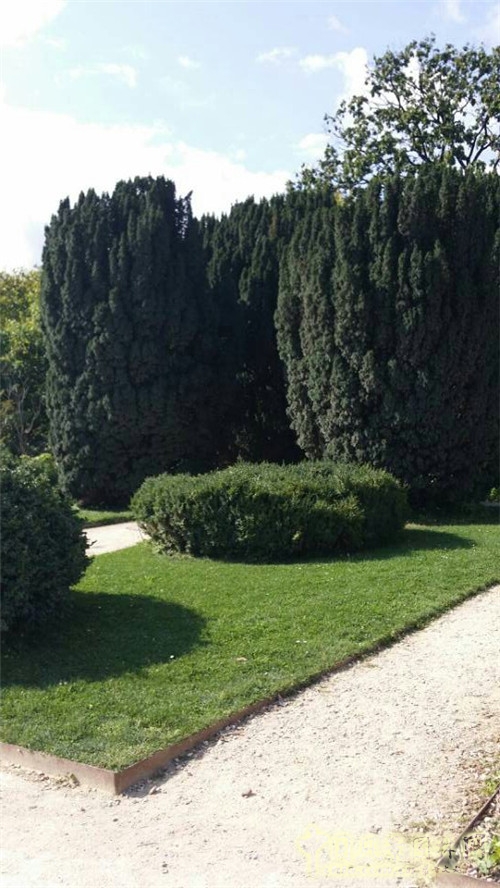 巴黎植物園