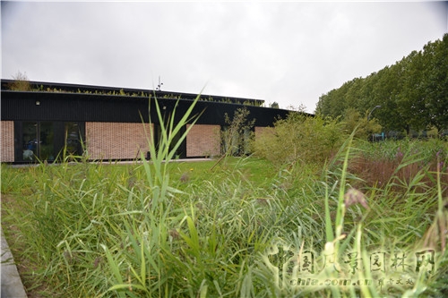 島嶼生態公園