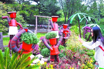 最大菊花海蕩漾植物園 景觀造型樹環(huán)保理念